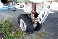 Photo of the port main undercarriage
