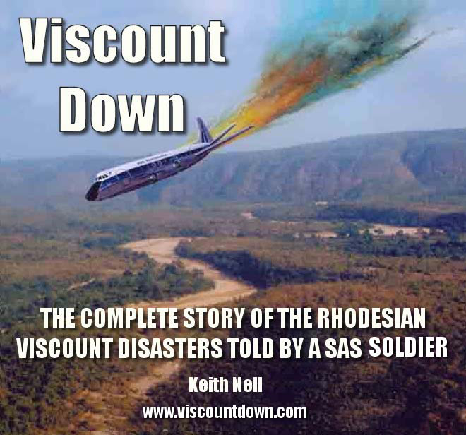 Viscount Down - Book Synopsis by Keith Nell