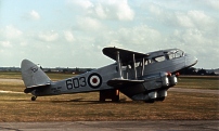 Photo of a Dragon Rapide