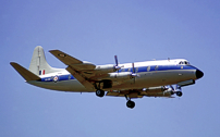 Photo of Royal Australian Air Force (RAAF) Viscount A6-436