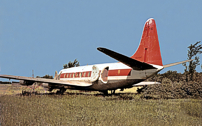 Photo of Tony Hammerling Viscount CF-TIG c/n 387