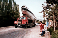 Transported by road to a private site at 'Laguardia', Puembo, Ecuador.