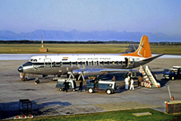 SAA 'orange tail' livery